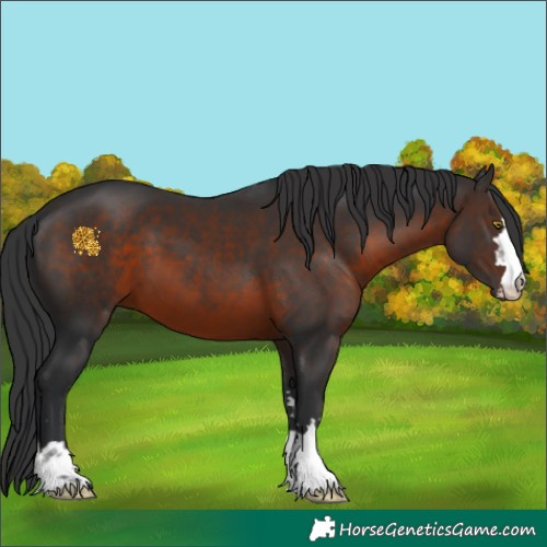 Horse Color:Brown 