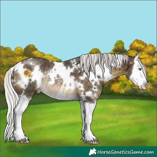 Horse Color:White Spotted Silver Buckskin Splash Rabicano 