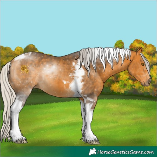 Horse Color:Silver Buckskin Tobiano 
