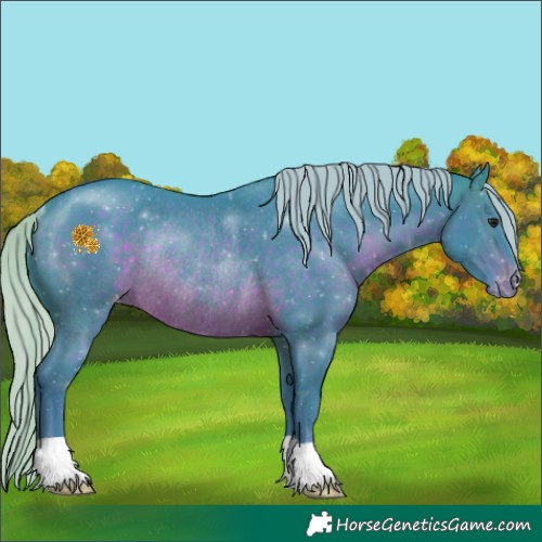 Horse Color:Watercolor Silver Brown Appaloosa Rabicano 