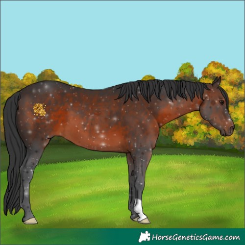 Horse Color:Brown 