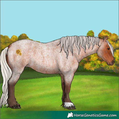 Horse Color:Silver Brown Roan 