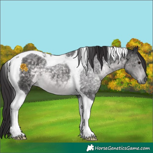 Horse Color:Platinum Buckskin Tobiano 