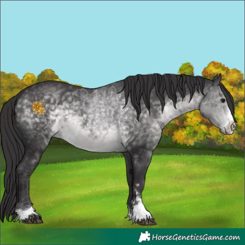 Horse Color:Platinum Buckskin 