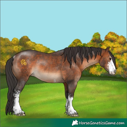 Horse Color:Brown Sabino Rabicano 