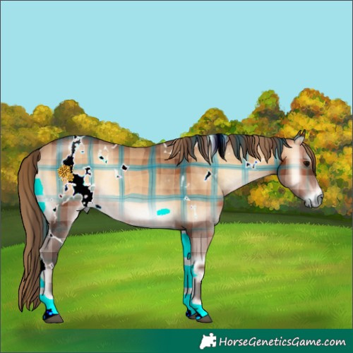 Horse Color:Plaid  White Spotted Bay Onyx Rabicano 