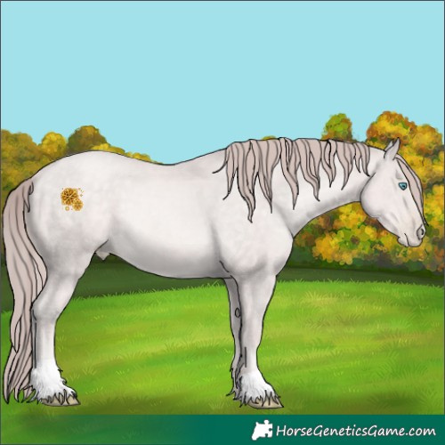 Horse Color:Platinum Buckskin Pearl 