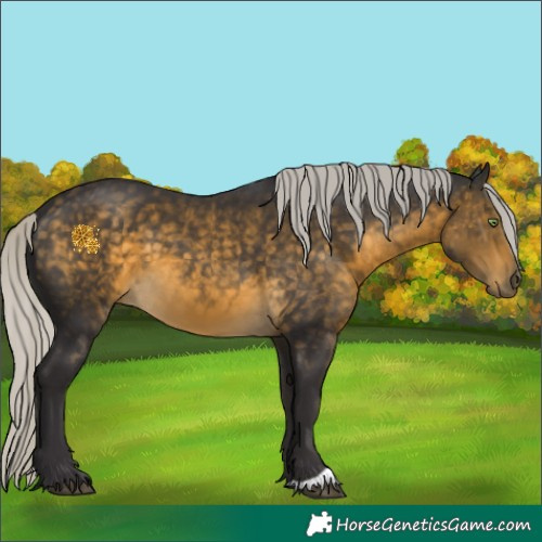 Horse Color:Silver Buckskin 