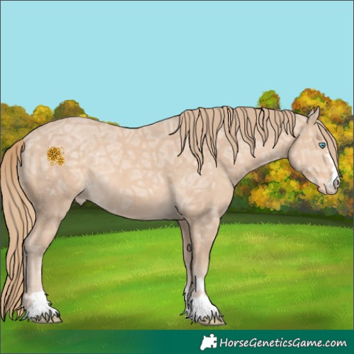 Horse Color:Perlino Ice Appaloosa 