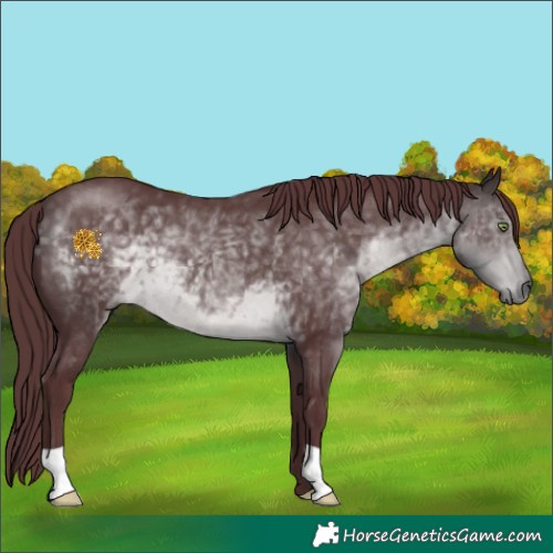 Horse Color:Platinum Chocolate Buckskin 