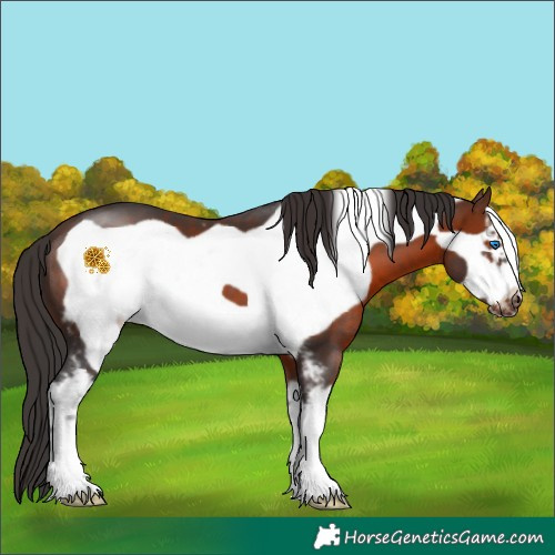 Horse Color:Brown Sabino Frame 