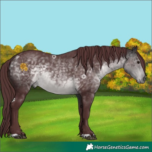 Horse Color:Platinum Chocolate Buckskin 