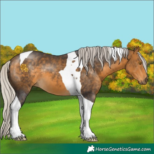 Horse Color:Silver Buckskin Tobiano 
