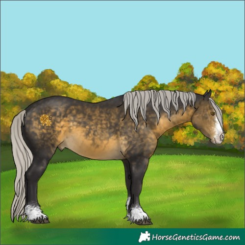 Horse Color:Silver Buckskin Sabino 