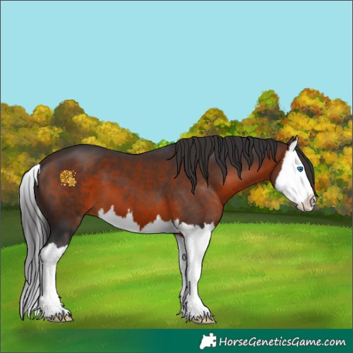 Horse Color:Brown Splash 