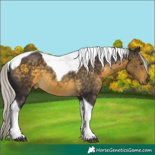 Horse Color:Silver Buckskin Tobiano 