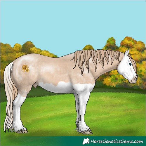Horse Color:Perlino Splash 
