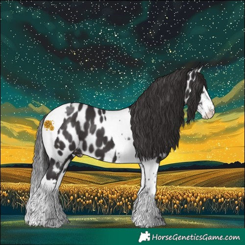 Horse Color:Smoky Black Sabino Splash Tobiano Appaloosa 