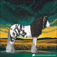 Horse Color:Smoky Black Sabino Splash Tobiano Appaloosa
