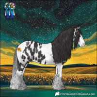 Horse Color:Smoky Black Sabino Splash Tobiano Appaloosa