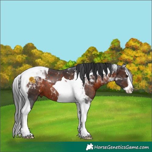 Horse Color:Brown Splash Tobiano 