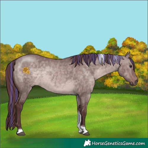 Horse Color:Platinum Painted Chocolate Brown Dun Tobiano 