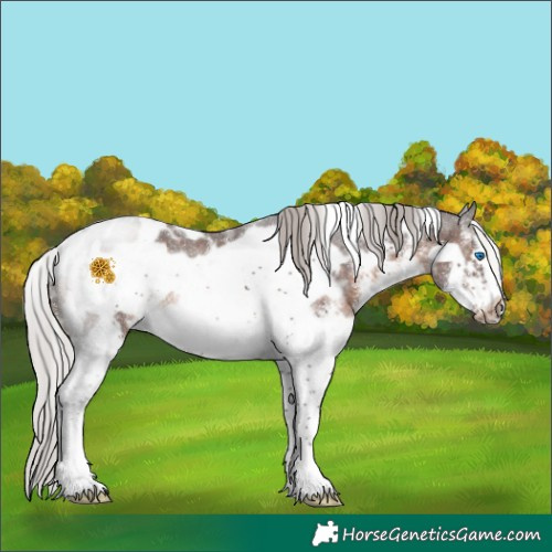 Horse Color:White Spotted Silver Brown Frame Rabicano 