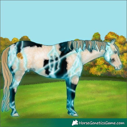 Horse Color:Void Thunderstruck Chocolate Buckskin Ice Pearl Tobiano 