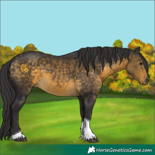 Horse Color:Buckskin Tobiano 