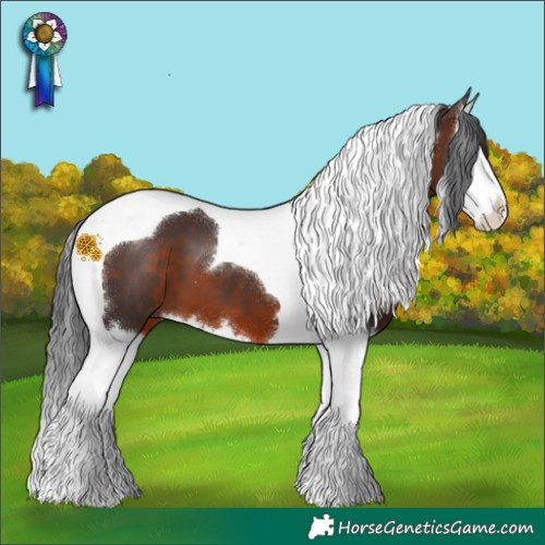 Horse Color:Brown Splash Tobiano 