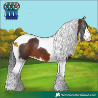Horse Color:Brown Splash Tobiano