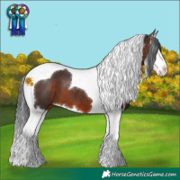 Horse Color:Brown Splash Tobiano