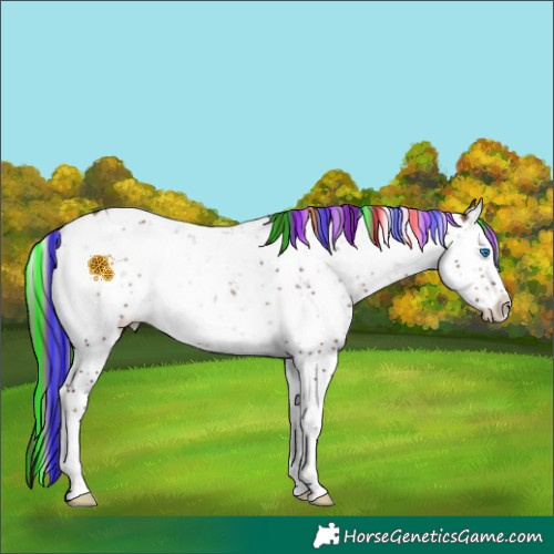 Horse Color:Painted Chocolate Blue Onyx Sabino Splash 