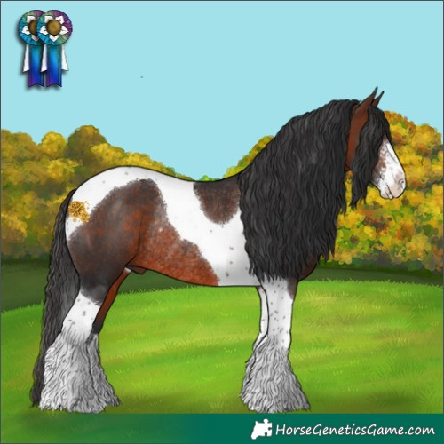 Horse Color:Brown Sabino Tobiano Rabicano 