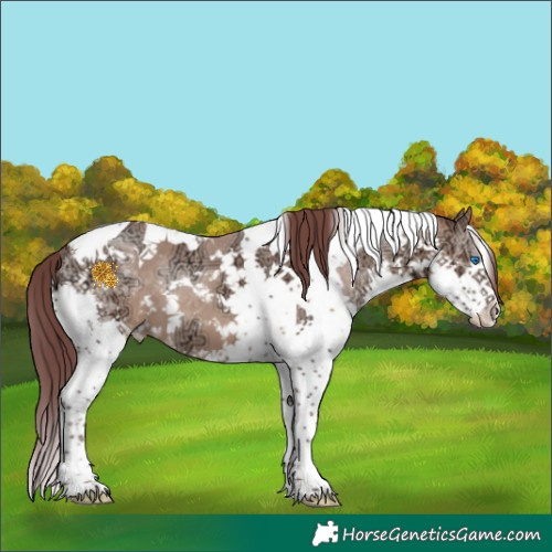 Horse Color:White Spotted Chocolate Sable Champagne Ice Splash Tobiano 