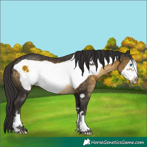 Horse Color:Buckskin Frame 