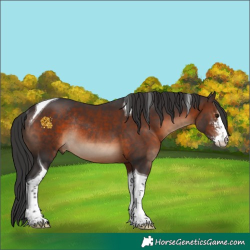 Horse Color:Brown Sabino Tobiano Rabicano 