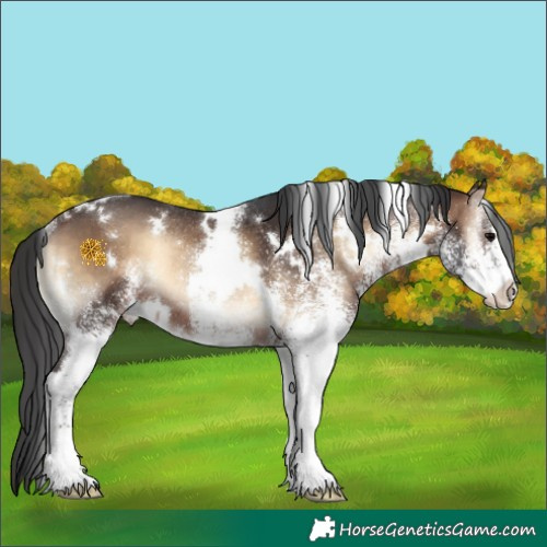 Horse Color:White Spotted Brown Onyx Rabicano 