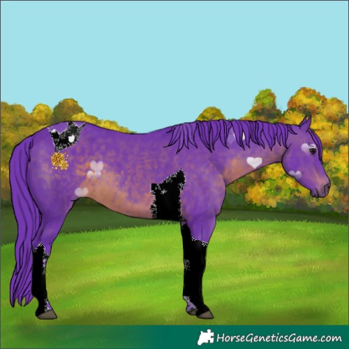 Horse Color:Watercolor Brown Tobiano 