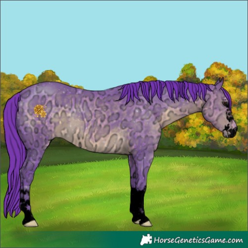 Horse Color:Void Watercolor Buckskin Ice 