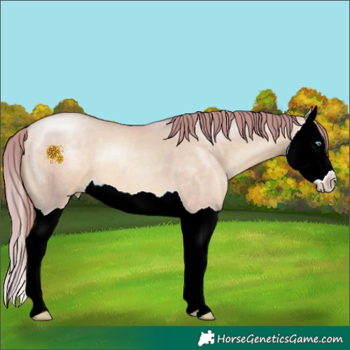 Horse Color:Watercolor Buckskin Pearl Dun Splash 