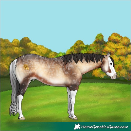 Horse Color:Brown Ice Onyx Splash 