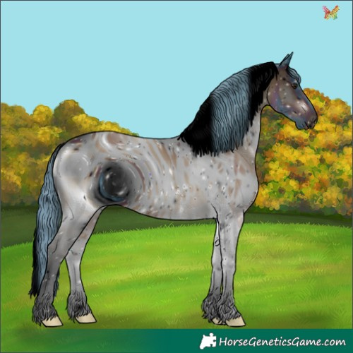 Horse Color:ERROR: UNKNOWN ANOMALY