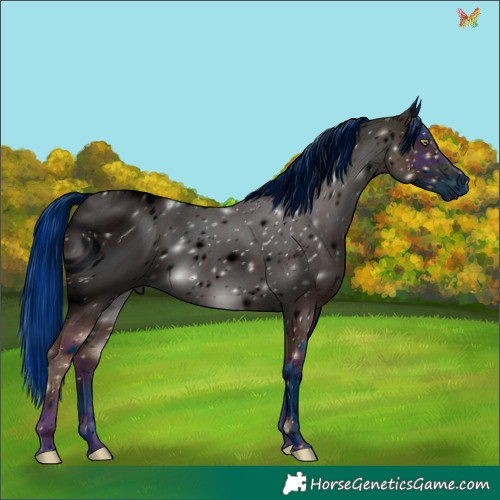 Horse Color:ERROR: UNKNOWN ANOMALY