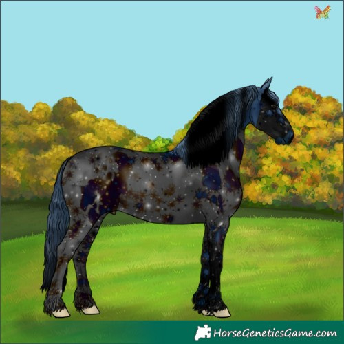 Horse Color:ERROR: UNKNOWN ANOMALY