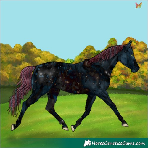 Horse Color:ERROR: UNKNOWN ANOMALY