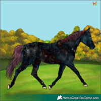 Horse Color:ERROR: UNKNOWN ANOMALY