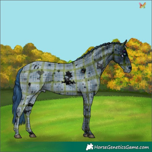 Horse Color:ERROR: UNKNOWN ANOMALY