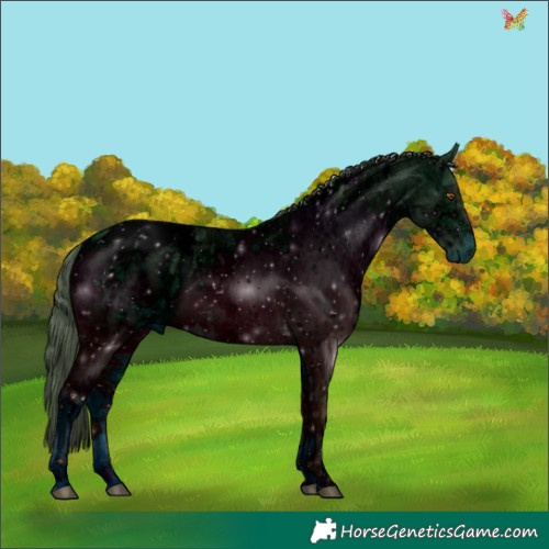 Horse Color:ERROR: UNKNOWN ANOMALY