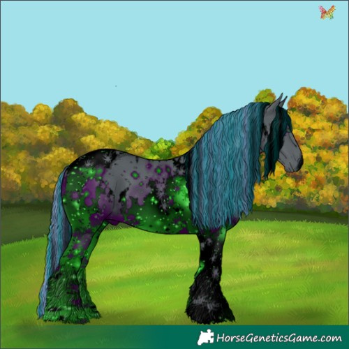 Horse Color:ERROR: UNKNOWN ANOMALY